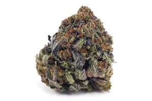 pink bubba