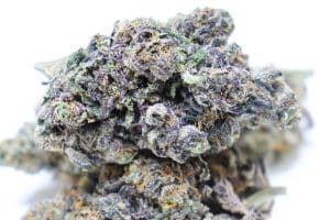 buy purple kush online