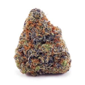 Gorilla Stomper AAAA