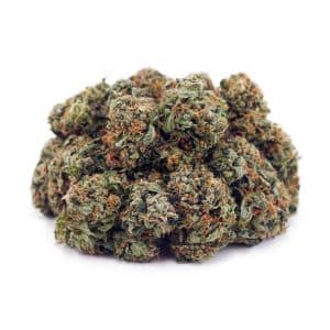 Buy Chemo Kush AA at Supreme Dispensary