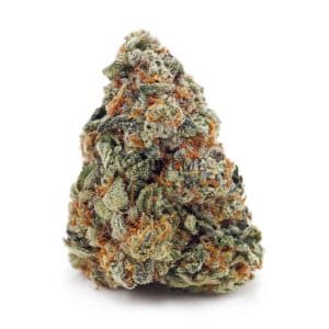 Buy Cosmic Cookies AA at Supreme Dispensary