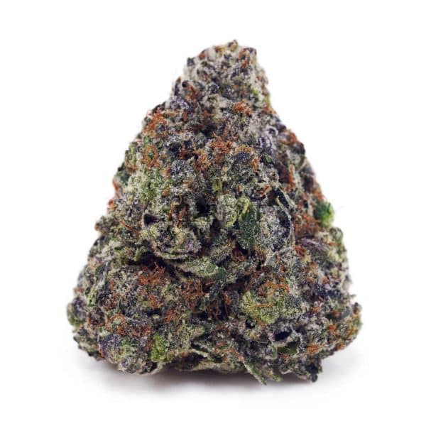 D759A1 PINKKUSH SUPREME