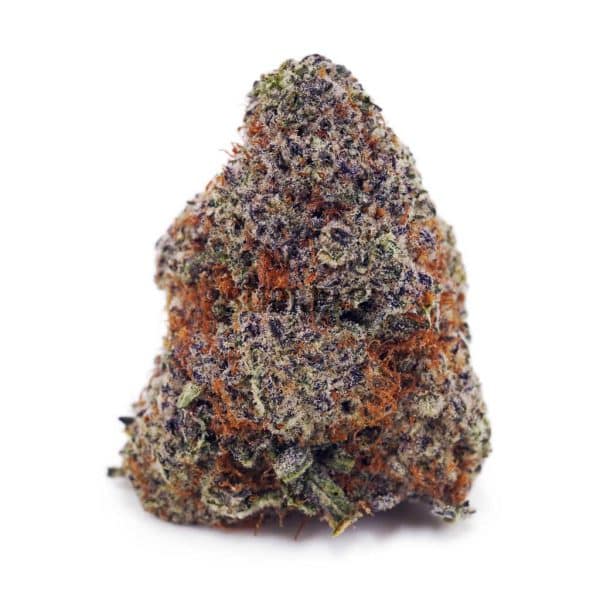D881A1 BLUEBERRYKUSH SUPREME D881A1 BLUEBERRYKUSH SUPREME