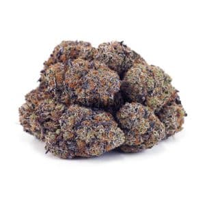 Buy Laughing Buddha (Craft Cannabis) at Supreme Dispensary Buy Laughing Buddha (Craft Cannabis) at Supreme Dispensary