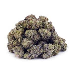 Buy Slurricane AAAA - (Popcorn Buds) at Supreme Dispensary