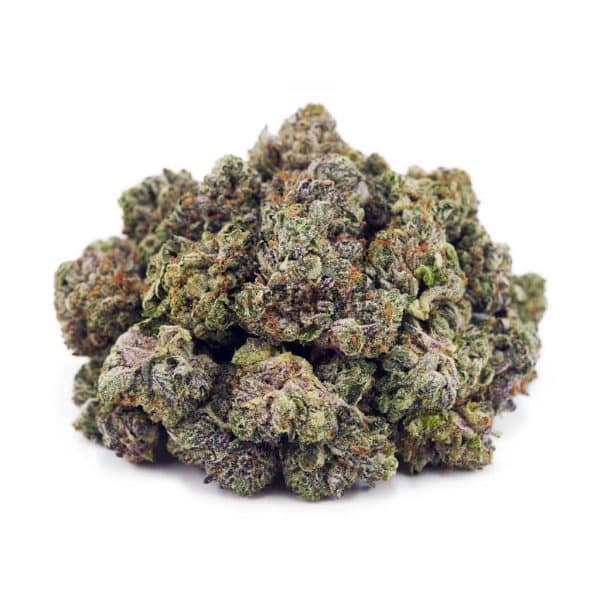 D739A1 ELCHAPOPOPCORN SUPREME