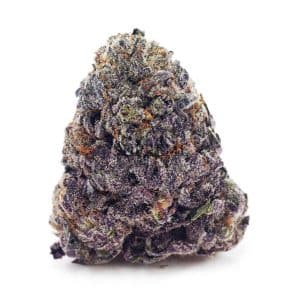 Buy Purple OG AAAA at Supreme Dispensary