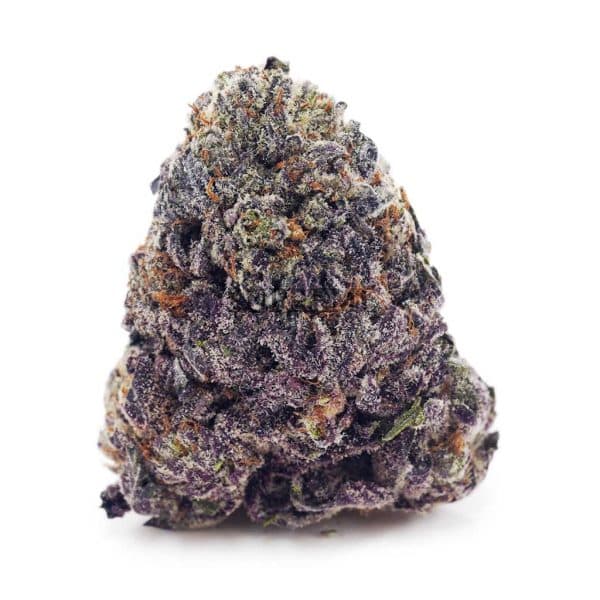 Buy Purple OG AAAA at Supreme Dispensary