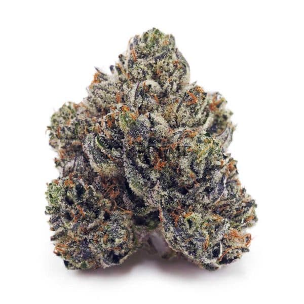 D743A1 TOMFORD SUPREME D743A1 TOMFORD SUPREME