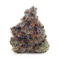 Buy Frosted Fruit Cake (Craft Cannabis) at Supreme Dispensary