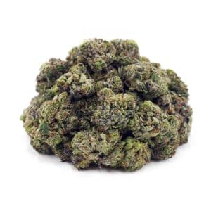 Buy Tuna Kush AAAA - (Popcorn Buds) at Supreme Dispensary