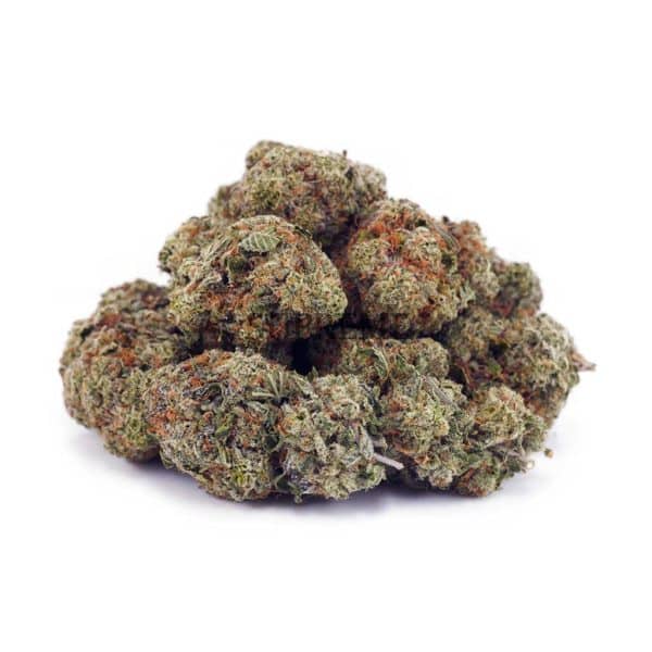 Buy King Louis XII AAAA at Supreme Dispensary
