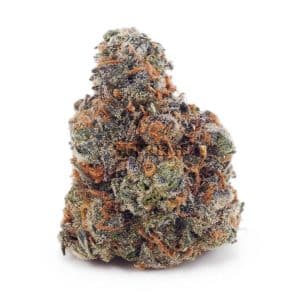 Buy Fortune Cookies AAAA at Supreme Dispensary