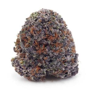 Buy King Tut AAAA at Supreme Dispensary