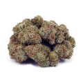 Buy White Rhino AAA at Supreme Dispensary