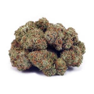 Buy White Rhino AAA at Supreme Dispensary