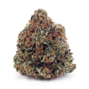 Buy Shiva Skunk AAA at Supreme Dispensary