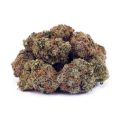 Buy Shiva Skunk AAA at Supreme Dispensary