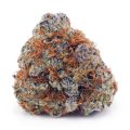 Buy Blue Magoo Cookies AAA at Supreme Dispensary