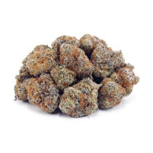 Buy Blue Magoo Cookies AAA at Supreme Dispensary