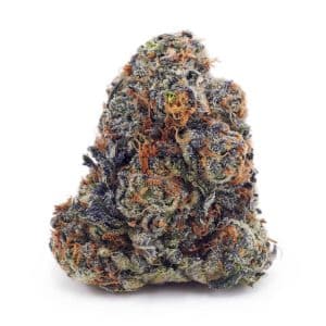 Buy Banana Cream AAA at Supreme Dispensary