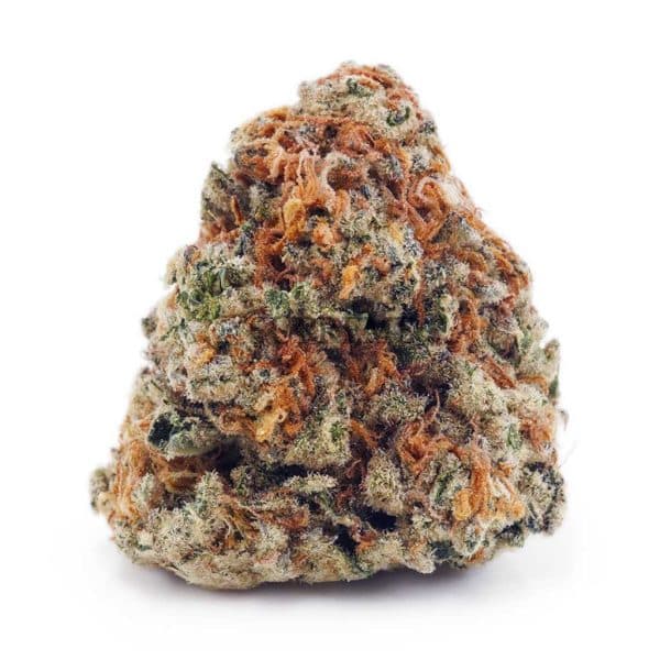 Buy Biscotti Pie AA at Supreme Dispensary
