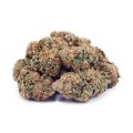Buy Biscotti Pie AA at Supreme Dispensary