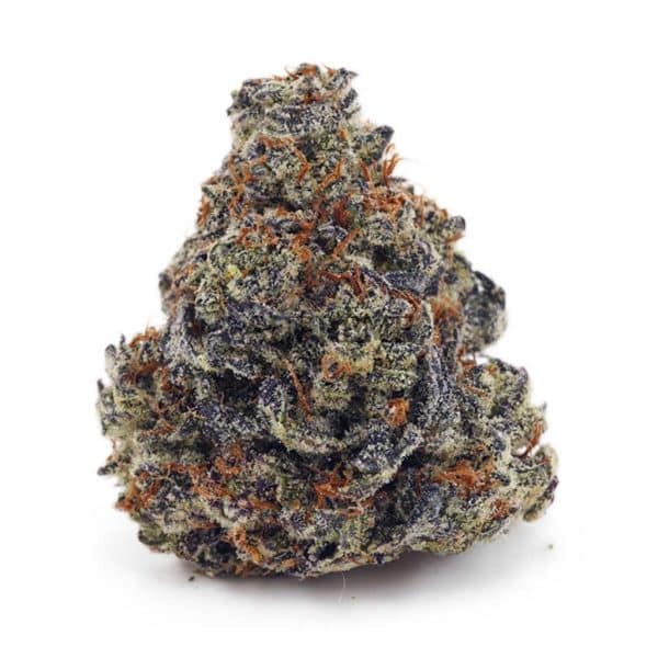 Buy Chocolate Kush AAAA at Supreme Dispensary Buy Chocolate Kush AAAA at Supreme Dispensary