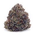 Buy Purple Kush AAAA at Supreme Dispensary
