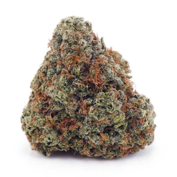 Buy Girl Scout Cookies AAA at Supreme Dispensary Buy Girl Scout Cookies AAA at Supreme Dispensary