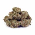 Buy Girl Scout Cookies AAA at Supreme Dispensary