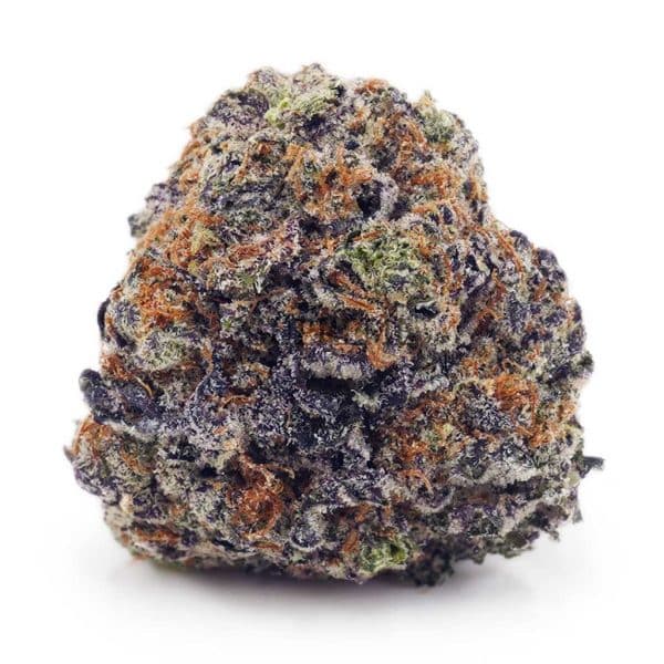 Buy Purple OG AAAA at Supreme Dispensary Buy Purple OG AAAA at Supreme Dispensary