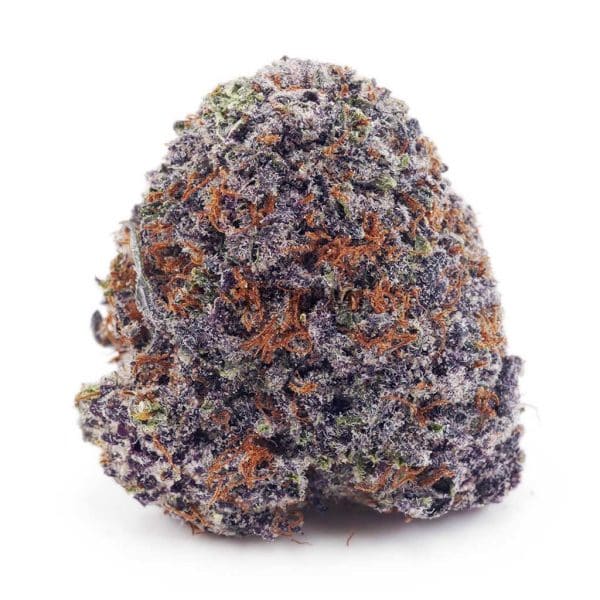 Buy Blue Magoo Cookies AAA at Supreme Dispensary
