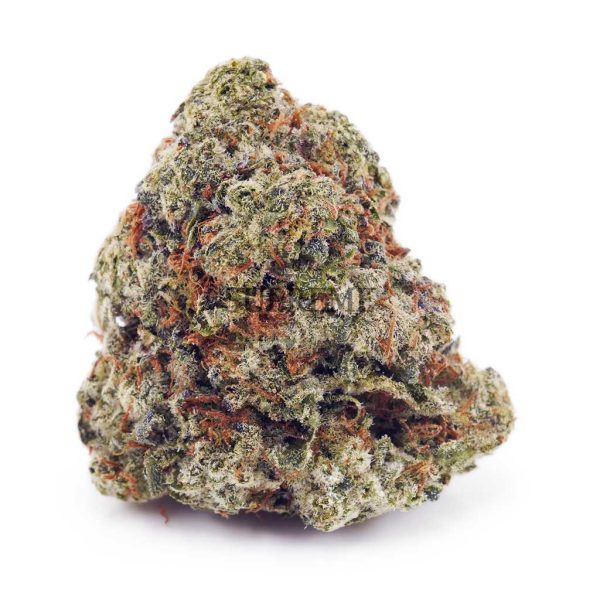 Buy White Rhino AAA at Supreme Dispensary