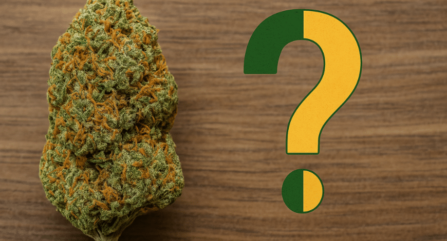 Close-up of Lemon Kush cannabis bud beside a question mark, asking if the strain is indica or sativa