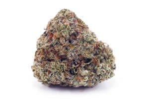 Passionfruit Lemonade cannabis single flower