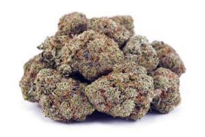 Passionfruit Lemonade cannabis wholesale