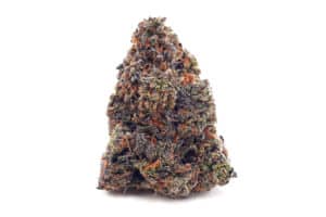 Purple Candy Cannabis Strain single flower