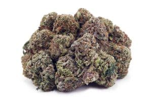 Snow White Cannabis Strain wholesale supreme dispensary
