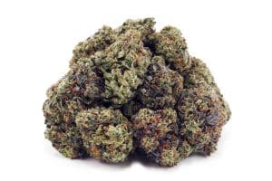 bubba kush cannabis wholesale