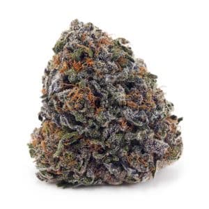 Buy Blueberry Pie AAAA at Supreme Dispensary