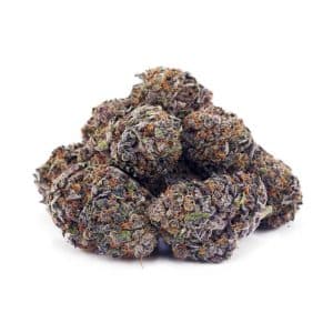 Buy Blueberry Pie AAAA at Supreme Dispensary