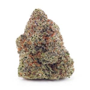 Buy Cereal Milk AA at Supreme Dispensary