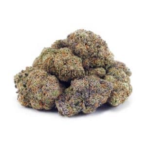 Buy Cereal Milk AA at Supreme Dispensary