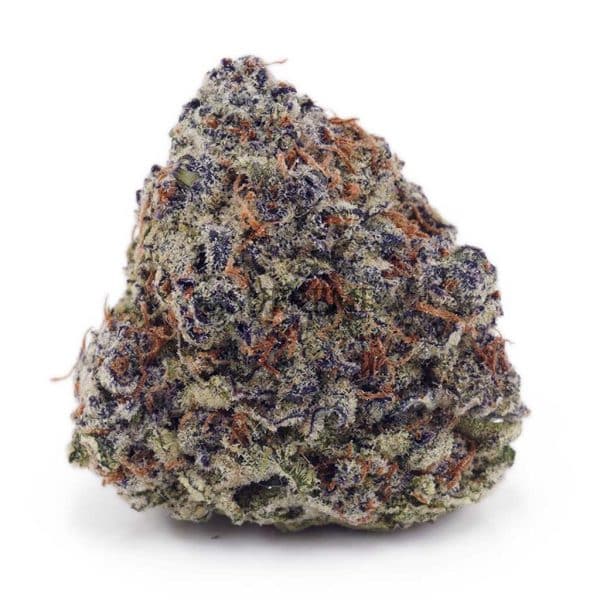 D818A1 OREOZCAKE SUPREME D818A1 OREOZCAKE SUPREME