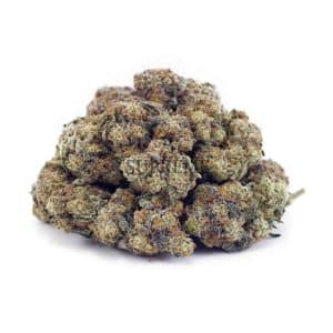Buy Kiwi Kush AAAA at Supreme Dispensary