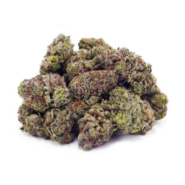 D884A2 JEANGUY SUPREME