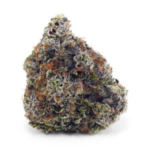 Buy 91 Octane (Craft Cannabis) at Supreme Dispensary