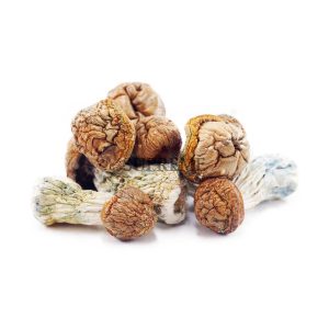 Buy Mushrooms – Tidal Wave at Supreme Dispensary