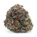 D854A1-BUBBAKUSH-SUPREME